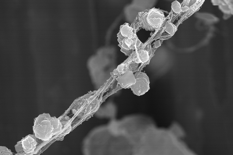 In-Line PCC™ by Wetend Technologies, a SEM image